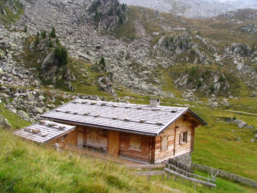 Verso il rifugio Porro by Claudio Zordan