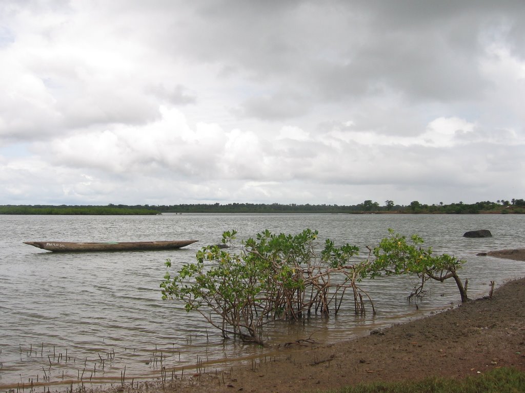 Canchungo Mangroves by Anos