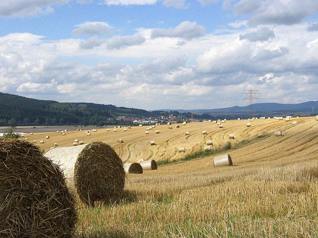 Werratal bei Schwallungen by e.dreßel