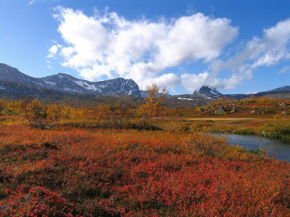 Høststemning Trollheimen Norway. by Bjørn Fransgjerde