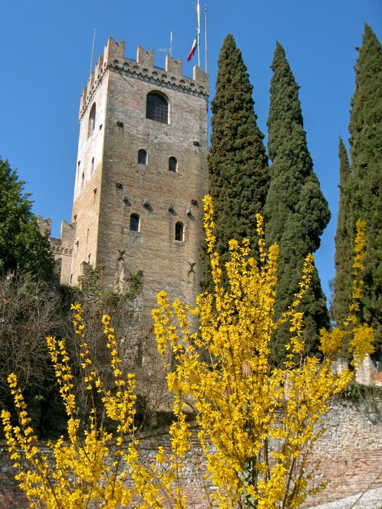 Castello di Conegliano Veneto by luiginobottega