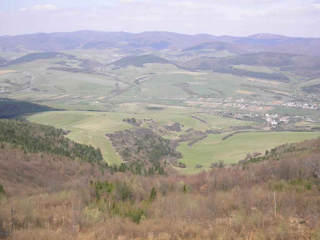 Lesy nad Jakubovou Voľou by salgov