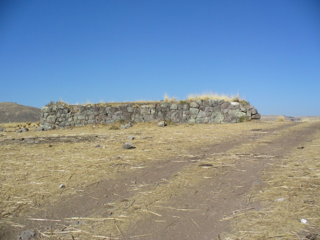 Ruinas de Tambo Inca en Hosnopata by Lino Huamán Mejía