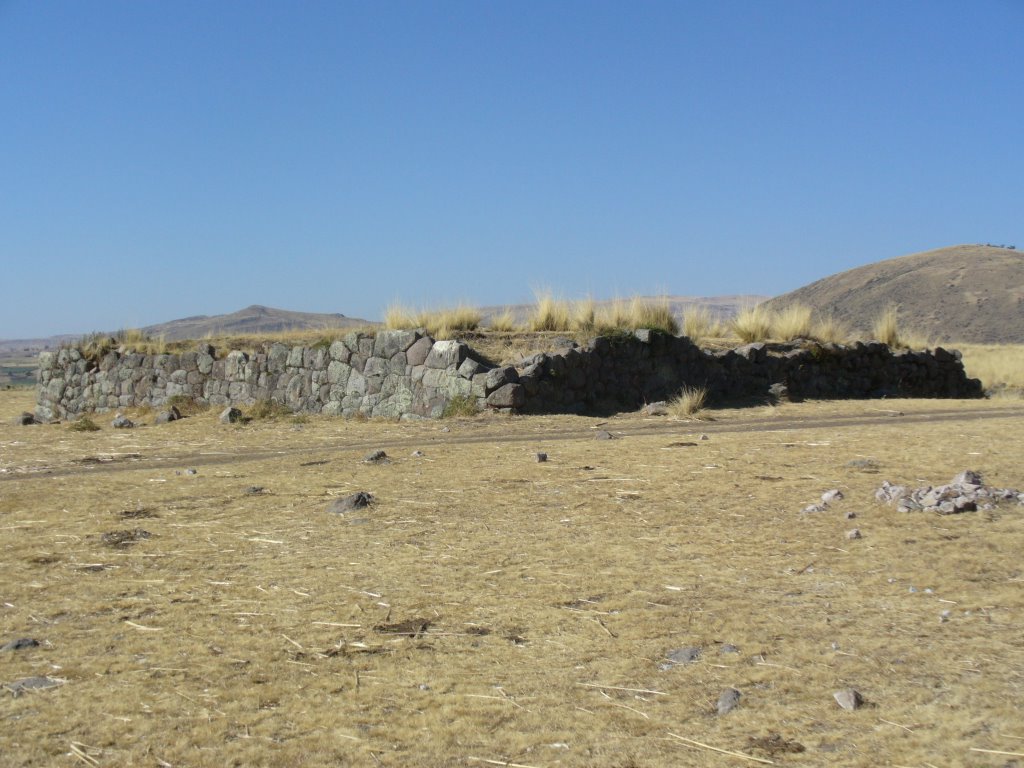 Detalle de Ruinas de Tambo Inca by Lino Huamán Mejía