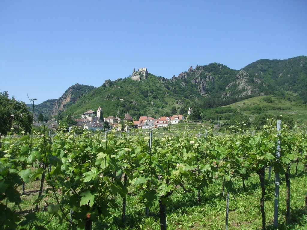 Dürnstein in der Wachau, 6. Juni 2010 nachmittags by Wolfgang Hanko