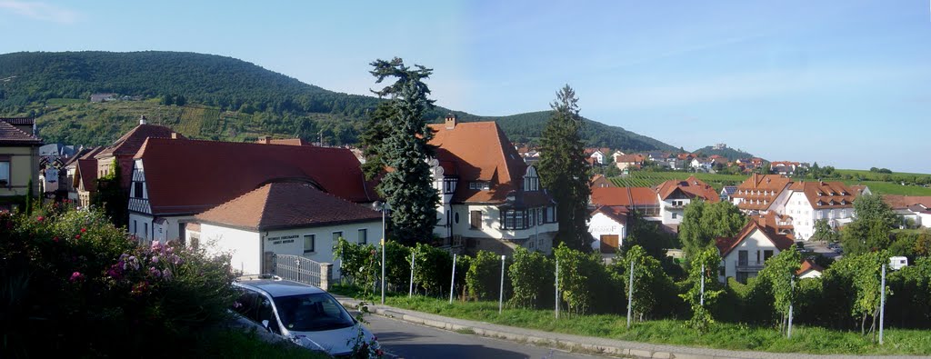 Blick von St. Martin zum Hambacher Schloß by panschulli