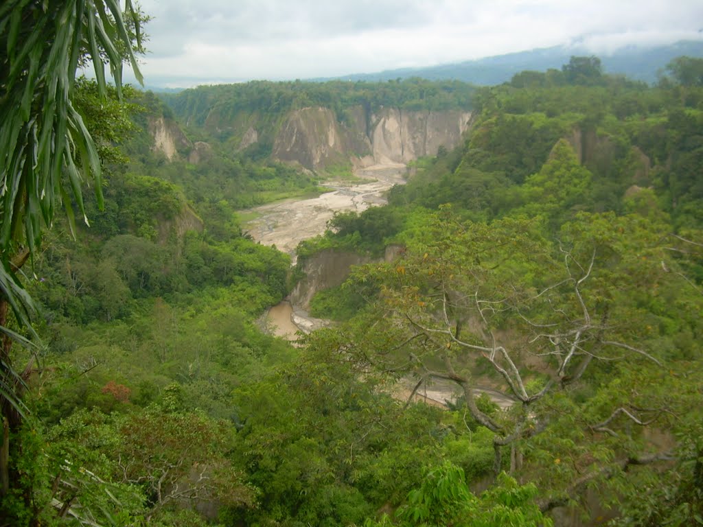 Ngarai Sianok (Sianok Canyon), Bukittinggi by Zulfikar Basmoera