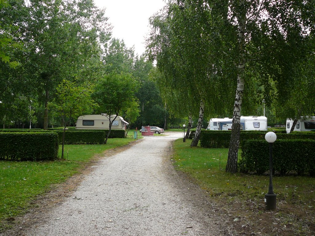 Naturist camp Balatonberény by TTamás