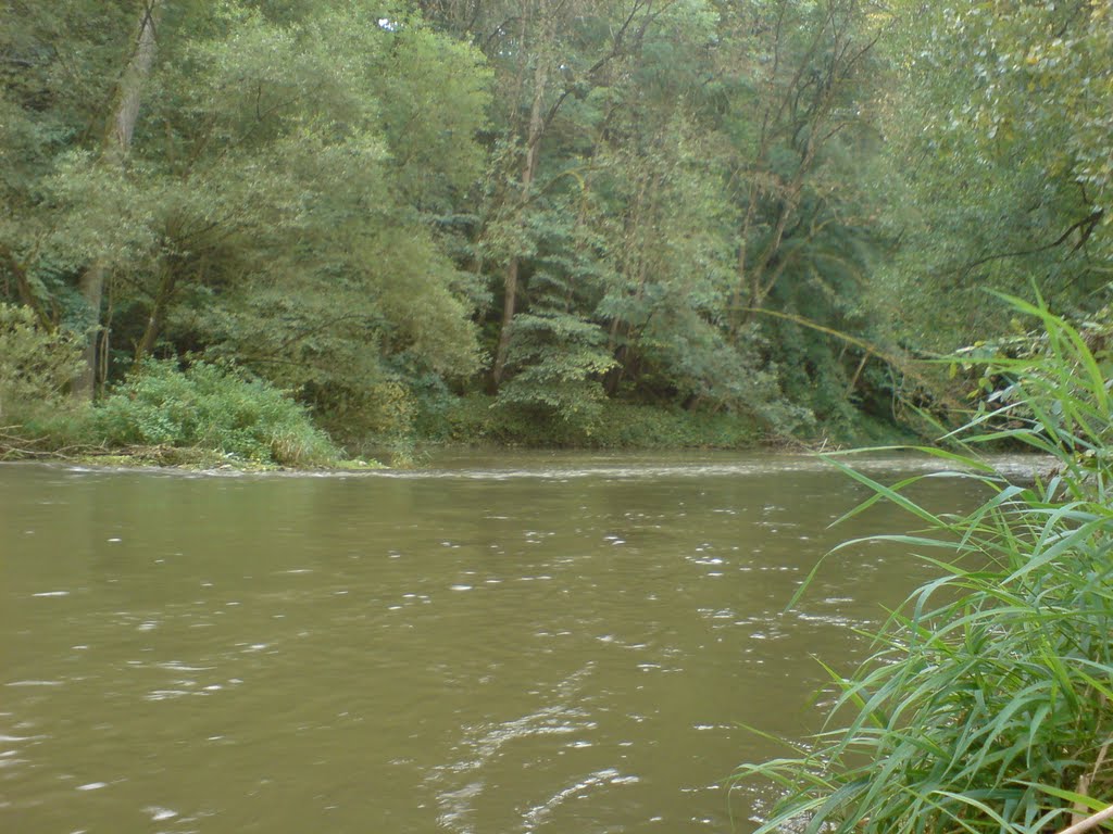 An der Jagst, nach anhaltenden Regenfällen erholte Wasserführung (27.09.2010, hier verm. ca. 11-12 m3/s, d.h. nahe Mittelwasser) by Å