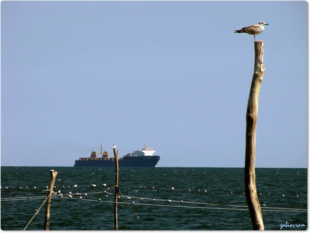 Ship on the horizon by Gabriel Avramovici