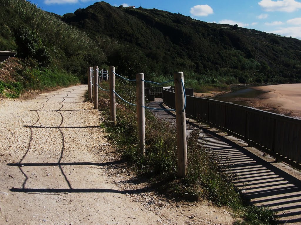 Paseo por el Biotopo. by Alberto sarasua.or