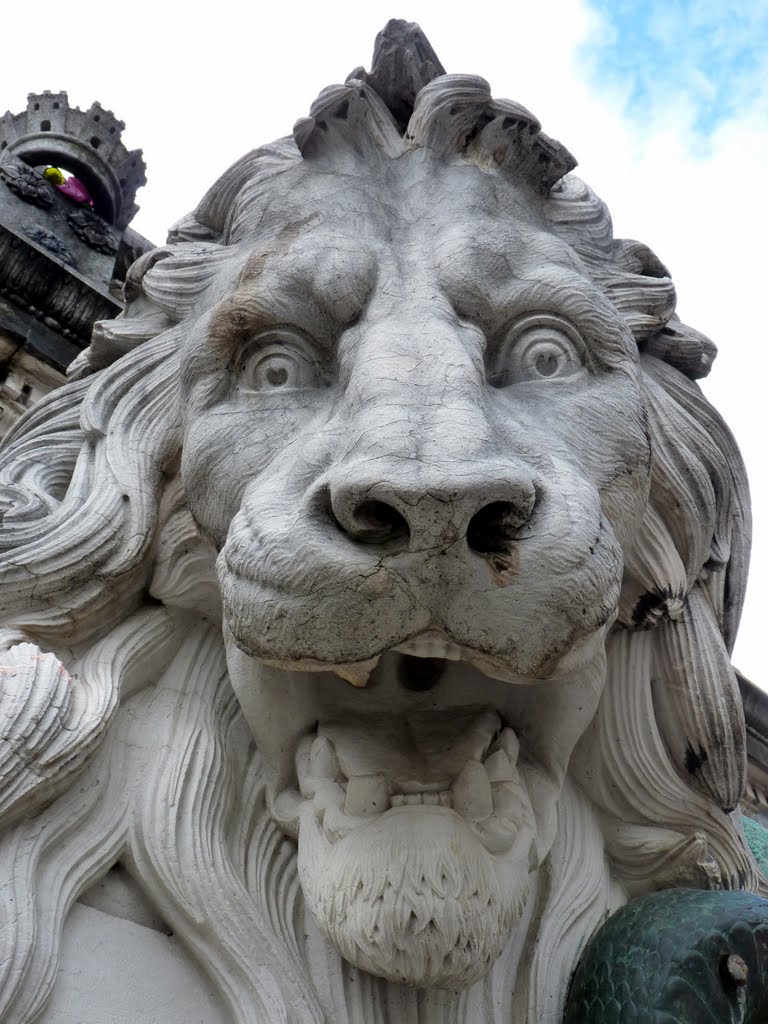 La Fontaine du Lion by franck ripert