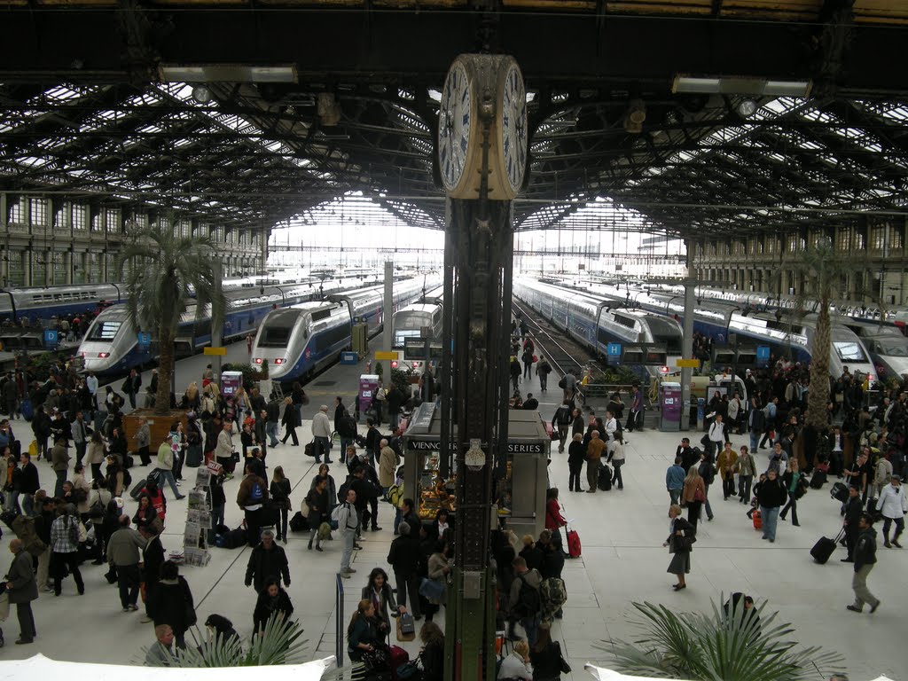 Gare de Lyon by Michael S Y