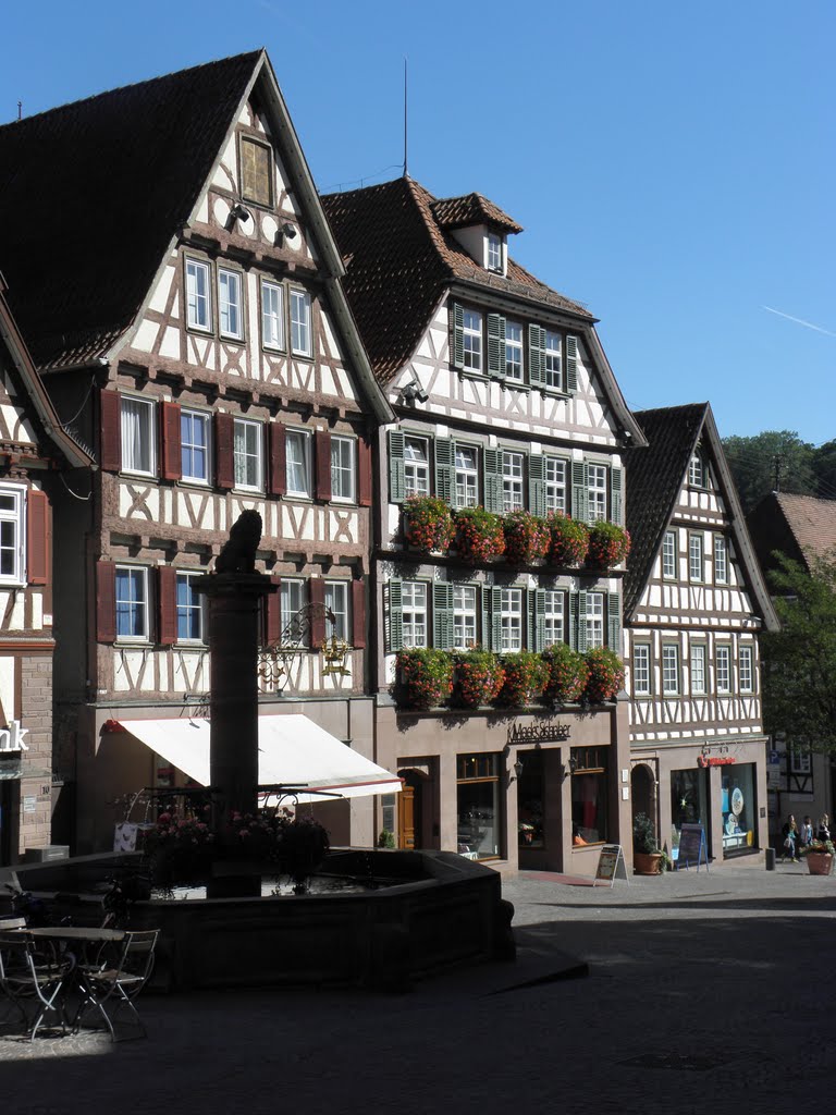 Calw - Marktplatz by stedinger85