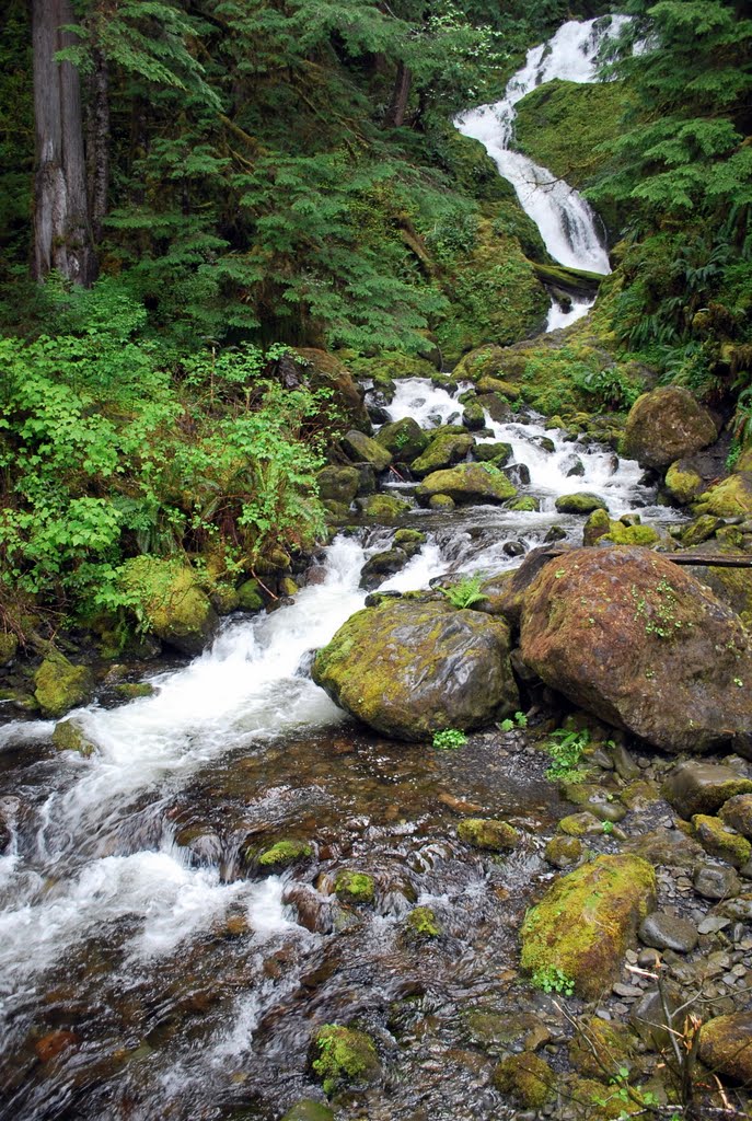 Bunch Falls by Chris Harmon