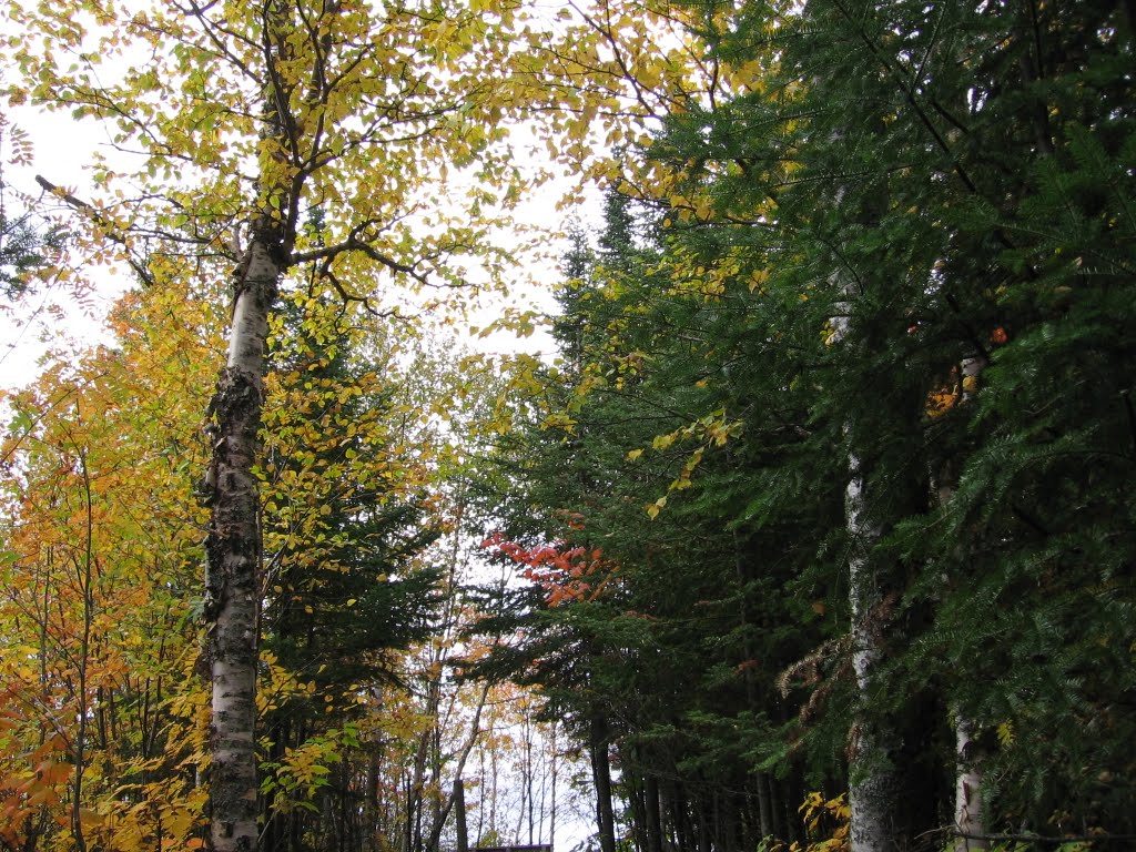 Tettegouche State Park in Autumn 9-28-10 by jeanduluth