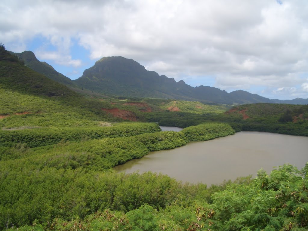 Alekokjo - Menehune Fishppond by islandblueser