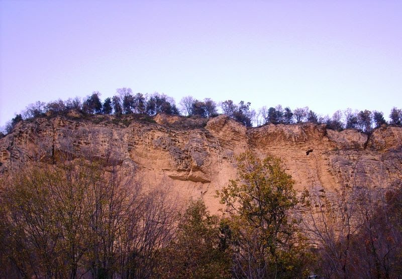 Montefalcone Appennino, arenarie, pliocene inferiore by Manfredi Luigi