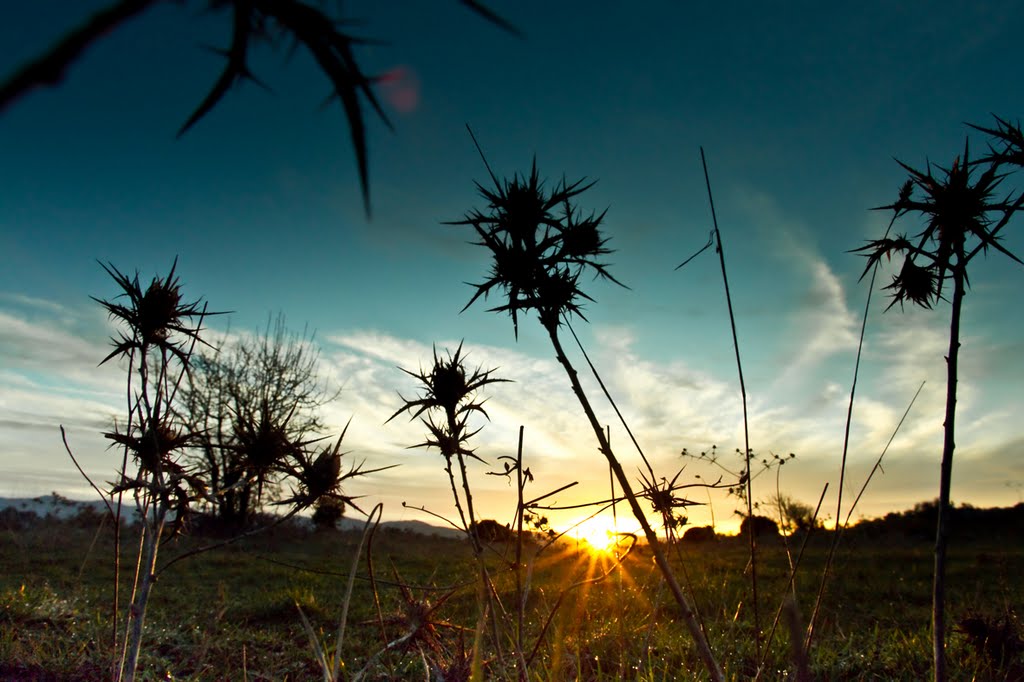 Αρκαδία- The beginning-Panos Mourlas by Panos T. Mourlas