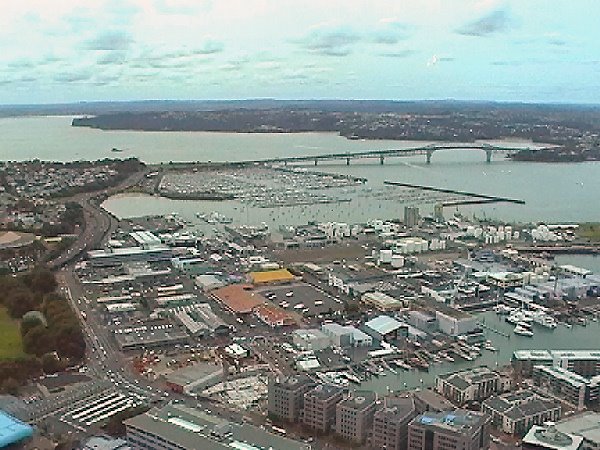 Auckland Harbour bridge from the Sky Tower, Auckland, New Zealand by Chapman