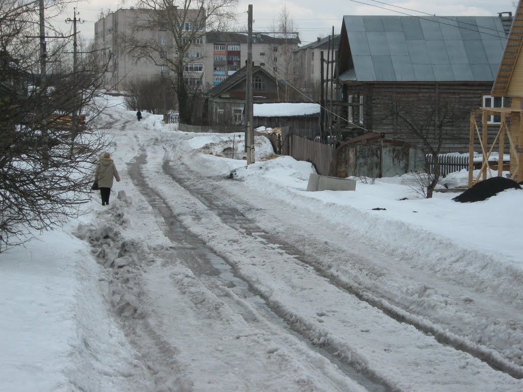 Belozersk, Vologda Oblast, Russia by vik0015