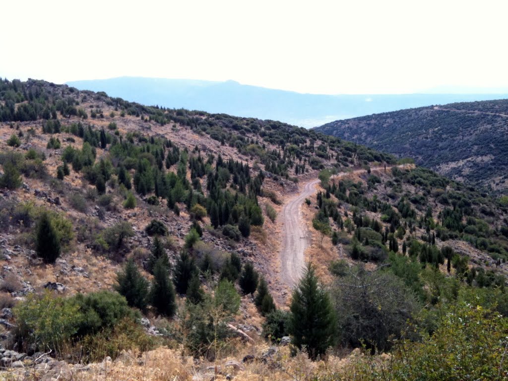 Bornova-Karagöl orman yolu by Evren UYANIK