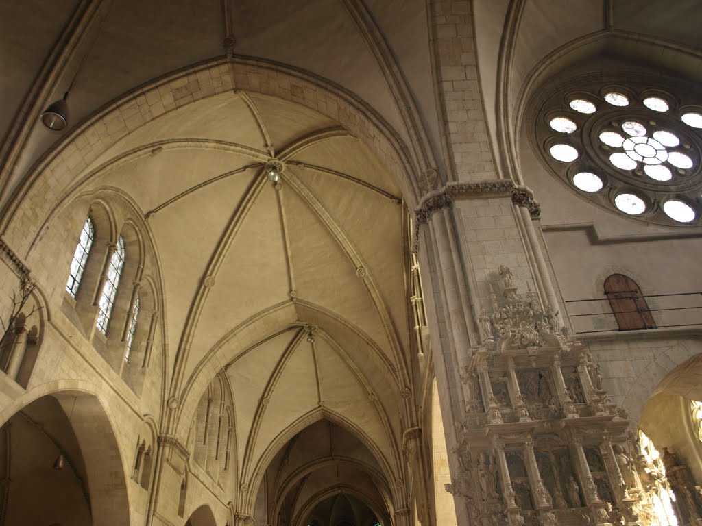 Dom van Münster by Hans R. van der Woud…