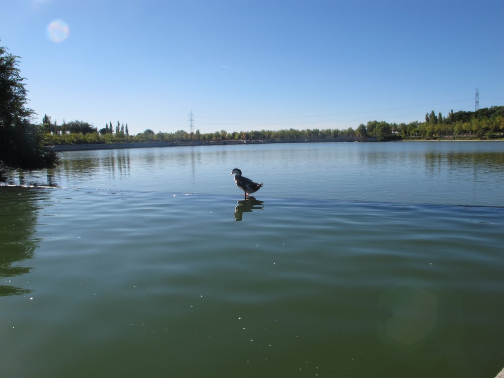 Paseo sobre el agua. by Juan