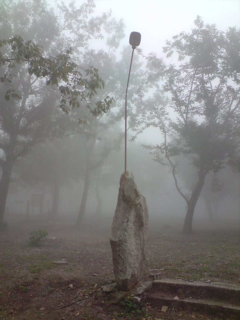 Farola camuflada en la naturaleza by Pedro Garrido