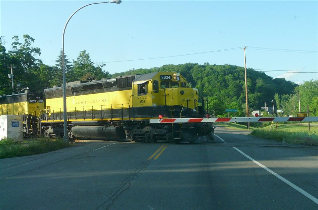 Train crossing road by Geraldine Clark