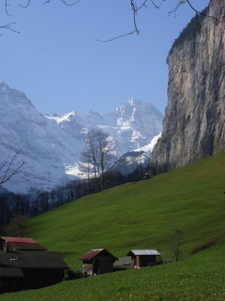 Lauterbrunnental, Blick Richtung Breithorn by elch1703