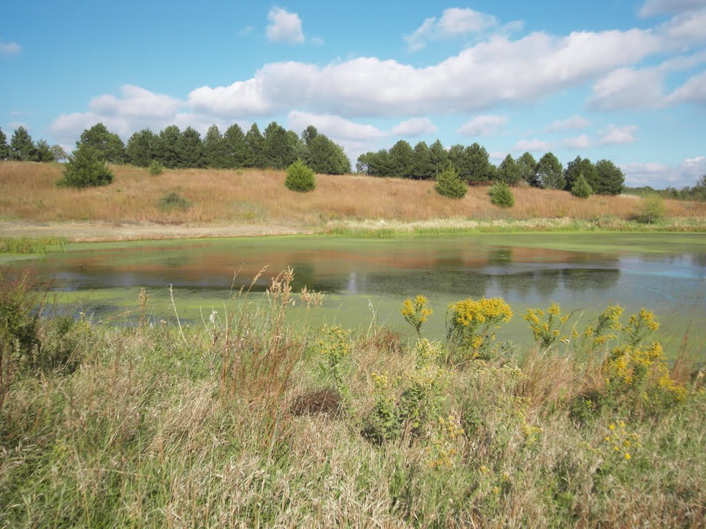 Liberty Cove Recreation Area, Lawrence, NE by nkovac1