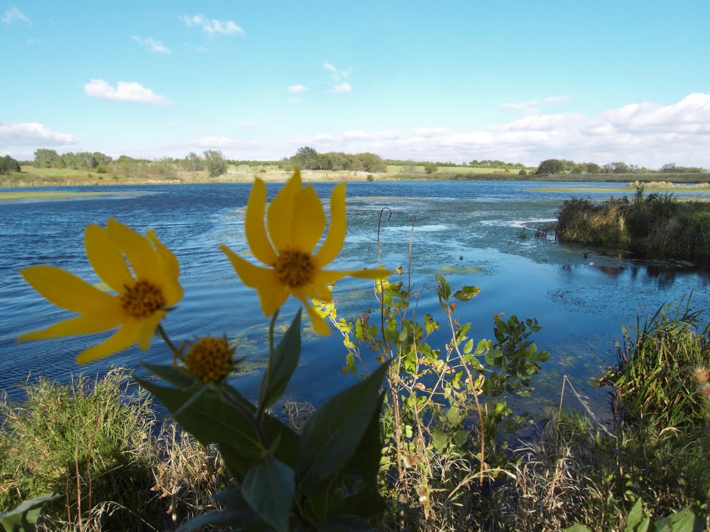 Liberty Cove Recreation Area, Lawrence, NE by nkovac1