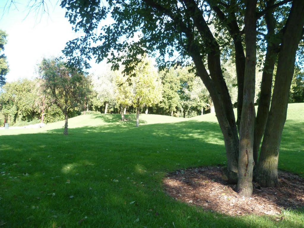 BRUAY-LA-BUISSIÈRE : PARC DE LA LAWE, CÔTÉ SALLE JESSE OWENS by CHPOLONAIS