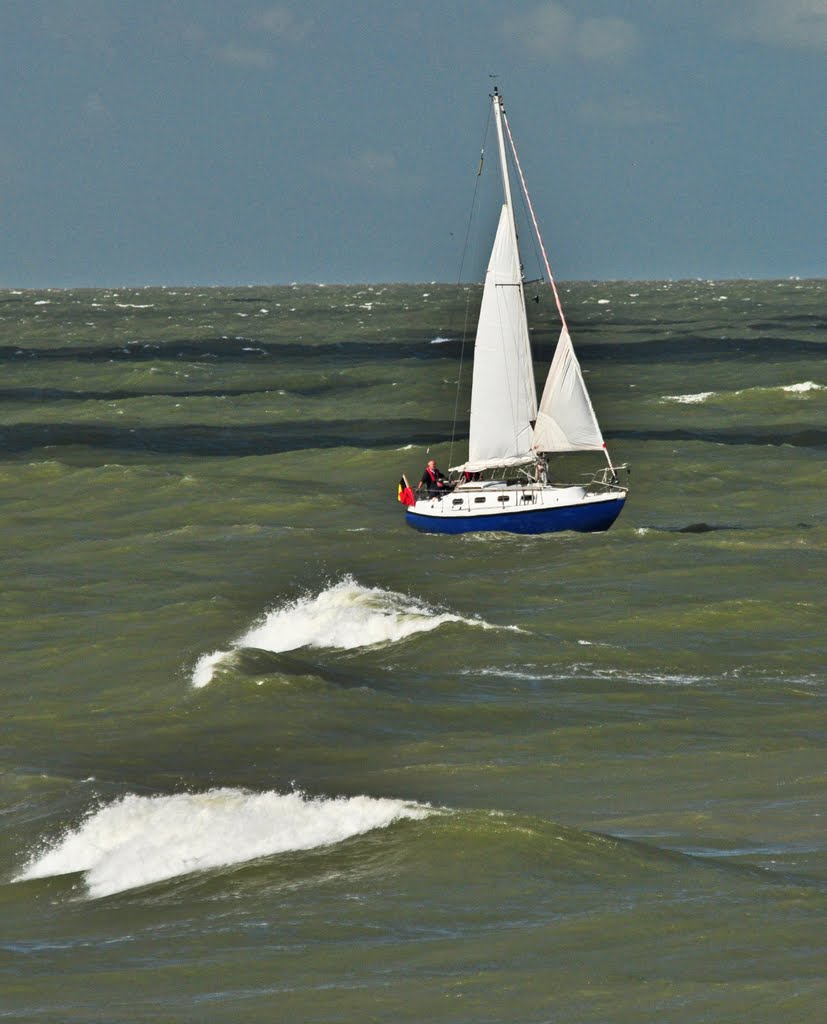 Sailing with the waves by Dani Isaie