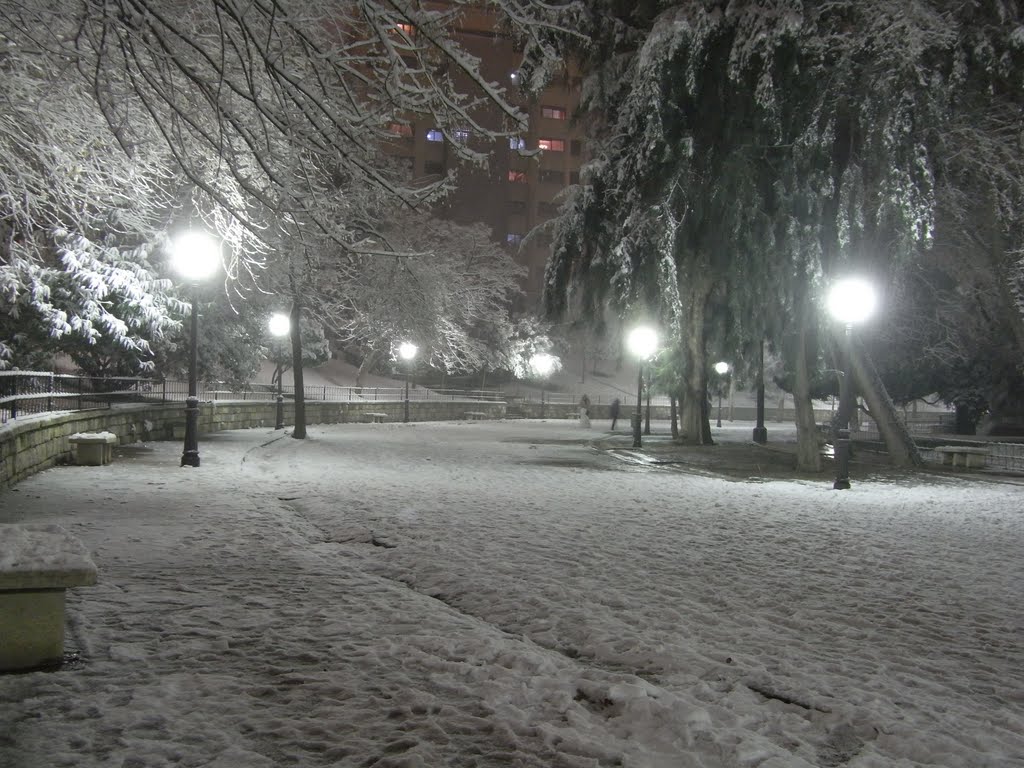 Parque de la concordia, un día de nieve by jamsito