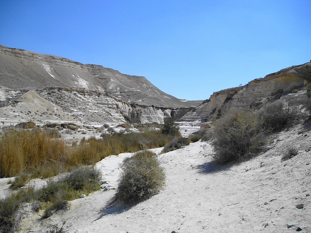 Israel. Nahal Aqev by Igor Svobodin