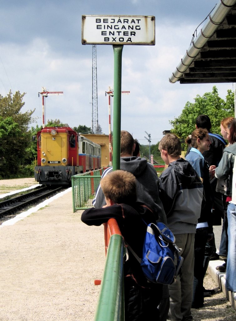 Waiting for the 'Children's Train' at Széchenyi Hegy by Erik Eshuis