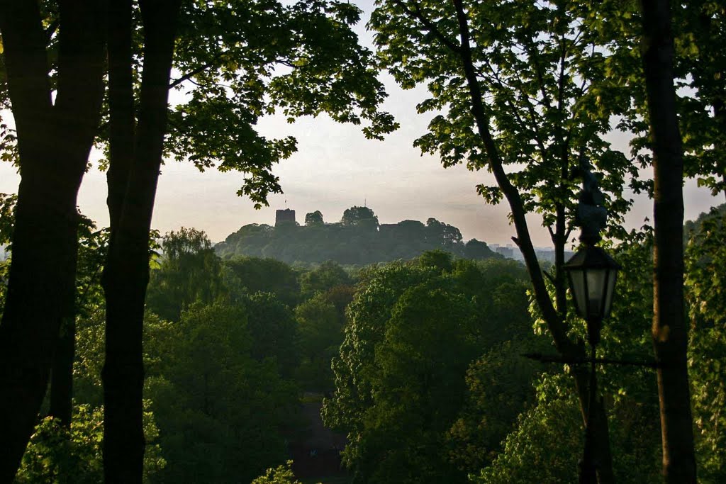 The Gediminas Castle Hill by Rimantas Kisielius