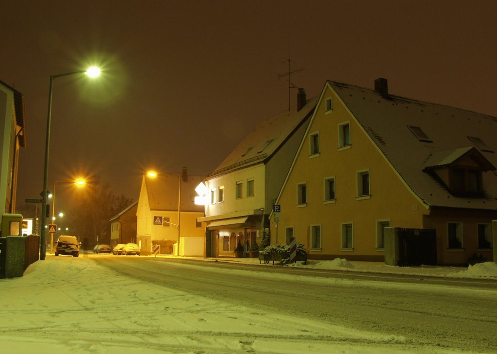 Winter in Gebersdorf, Jan. 2004 by centipede