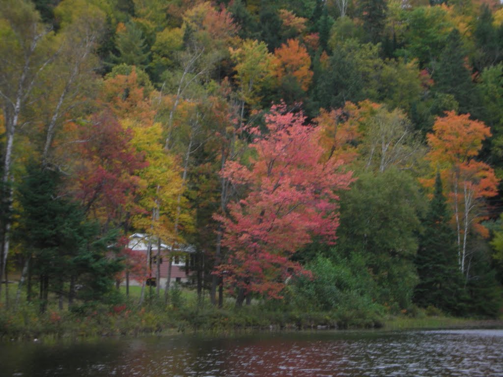 South Mink Lake by va3fe