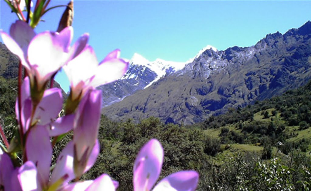 Cercania del la laguna de yurajcocha by Jhunior Chavez Agred…