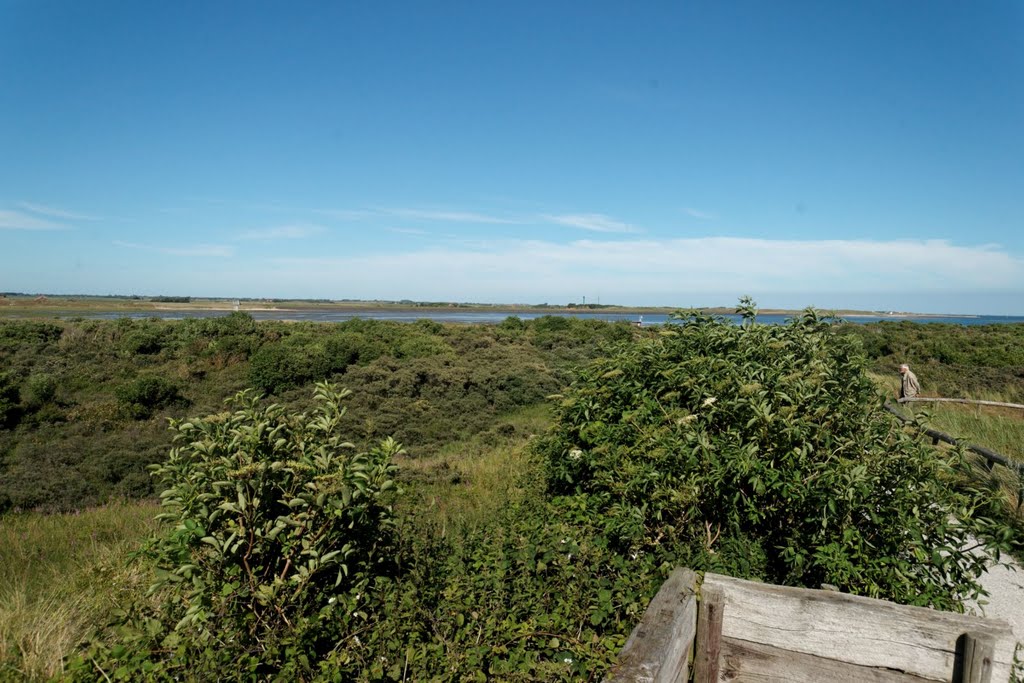 Texel - De Hors - View ENE towards De Mok by txllxt TxllxT