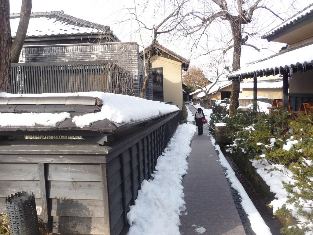 Chestnuts Alley (Kuri-no-komichi) in Obuse 栗の小道 by Daichi Kohmoto ☆河本大地