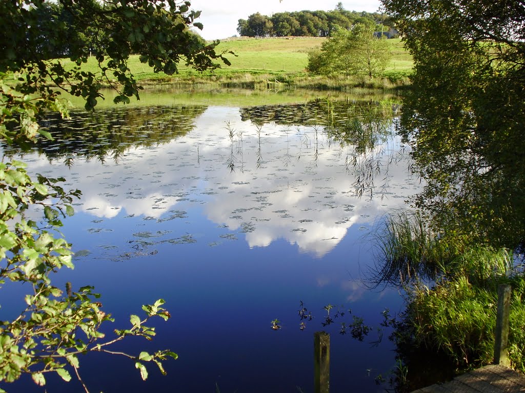 Reflections on Loch Heron by pisces48