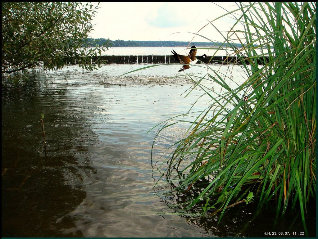 Die idyllischsten Stellen in Kladow an der Havel. by H. Hönow