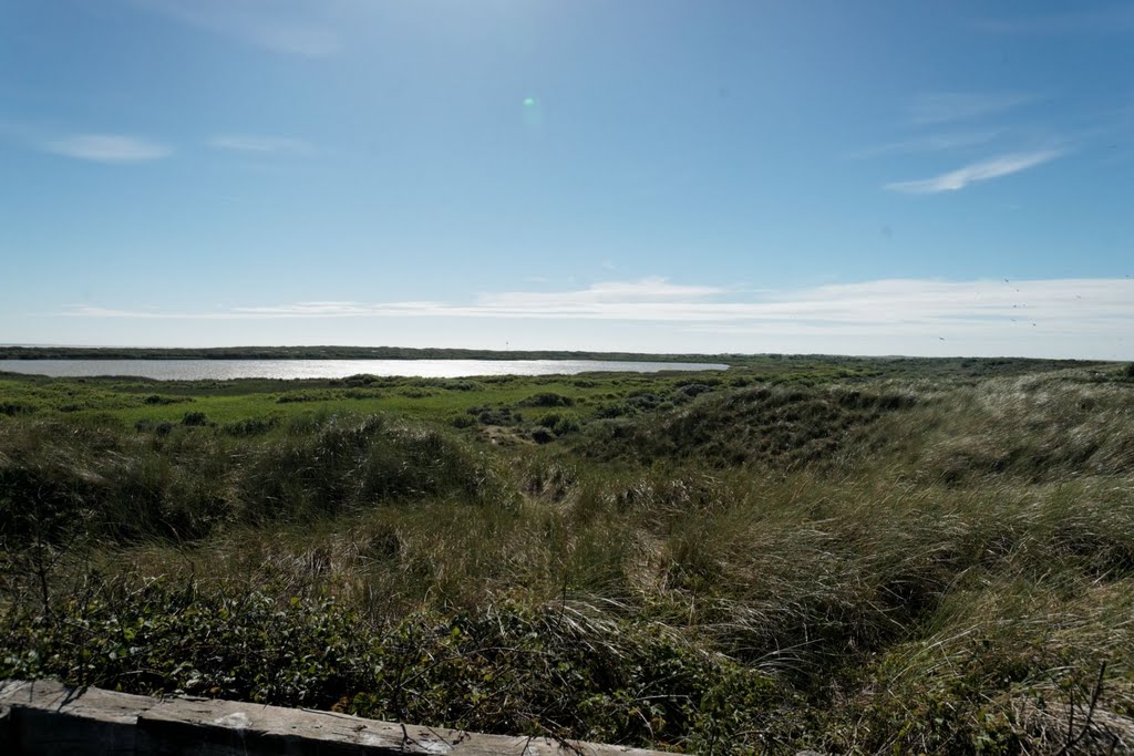 Texel - De Hors - View WSW on Horsmeertje by txllxt TxllxT