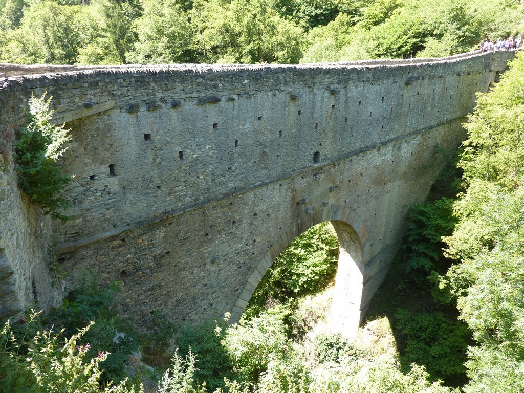 Pont d'ael by Fulvio Radice