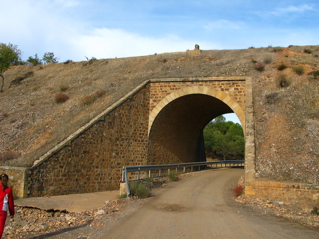 Puente de la antigua vía estrecha sobre el rio del Escorial de los caballeros by Antonio M Cabrera