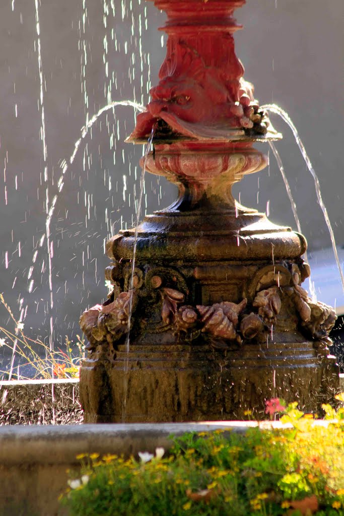 Fountain in the Square by George Sled